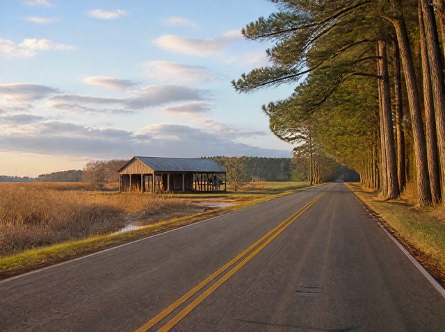 Rural coastal road near Supply, NC